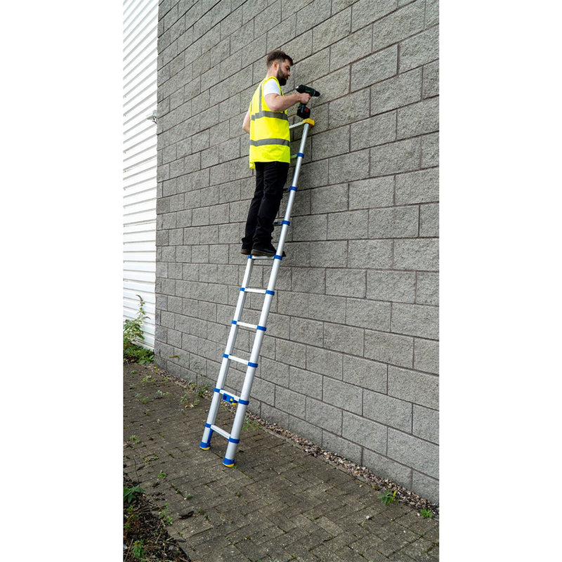 Werner Soft Close Telescopic Ladders (2 Sizes)