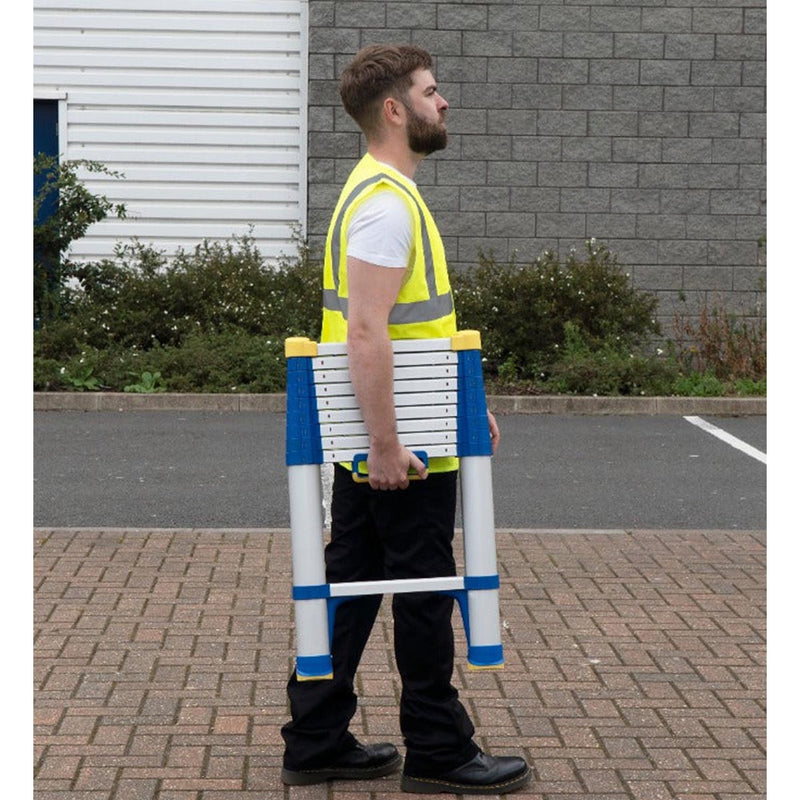 Werner telescopic deals ladder